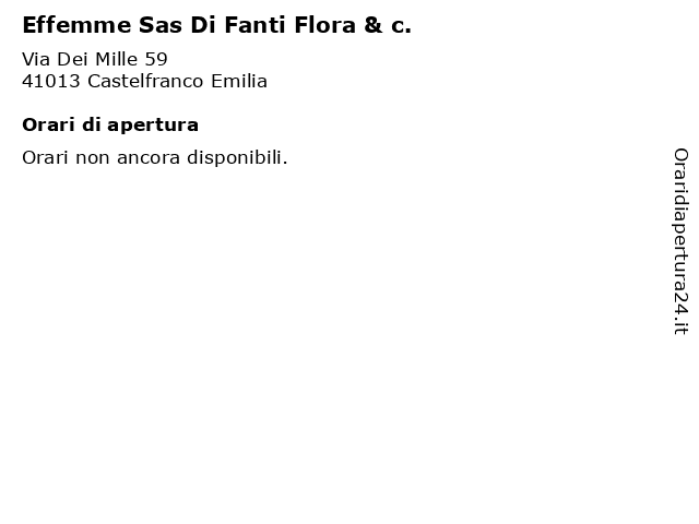 Effemme Sas Di Fanti Flora & c. a Castelfranco Emilia: indirizzo e orari di apertura