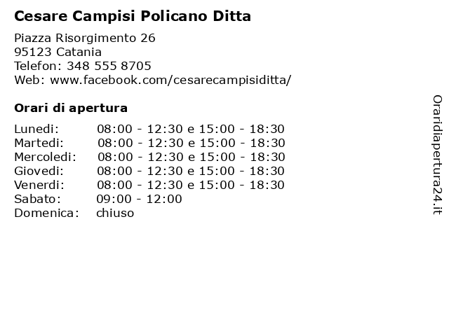 Cesare Campisi Policano Ditta a Catania: indirizzo e orari di apertura