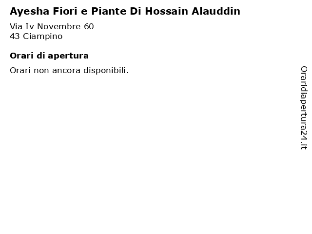 Ayesha Fiori e Piante Di Hossain Alauddin a Ciampino: indirizzo e orari di apertura