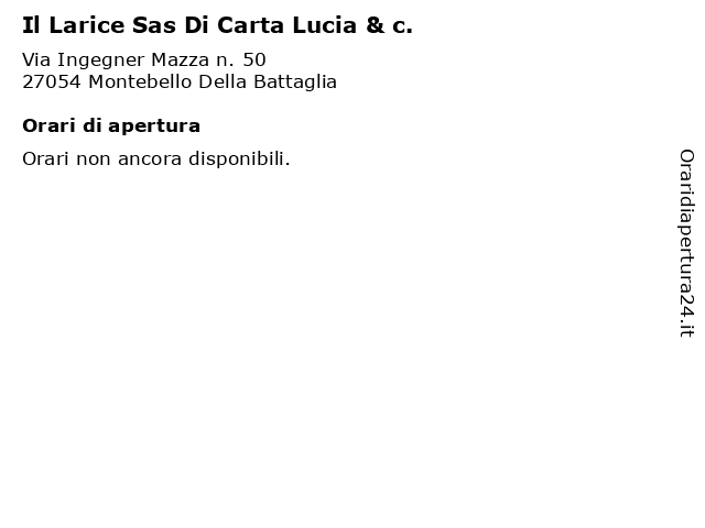 Il Larice Sas Di Carta Lucia & c. a Montebello Della Battaglia: indirizzo e orari di apertura