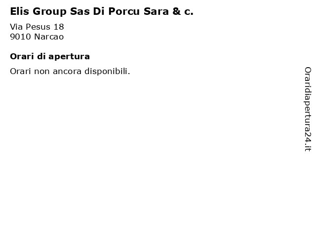 Elis Group Sas Di Porcu Sara & c. a Narcao: indirizzo e orari di apertura