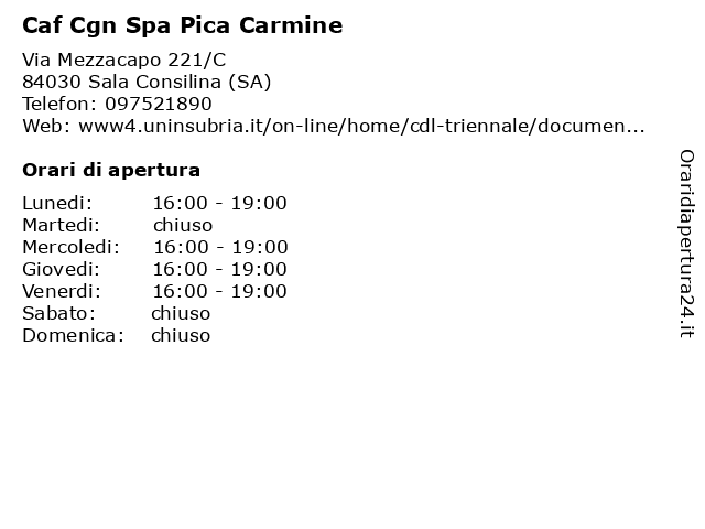 Caf Cgn Spa Pica Carmine a Sala Consilina (SA): indirizzo e orari di apertura