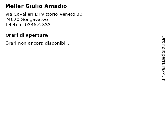 Meller Giulio Amadio a Songavazzo: indirizzo e orari di apertura