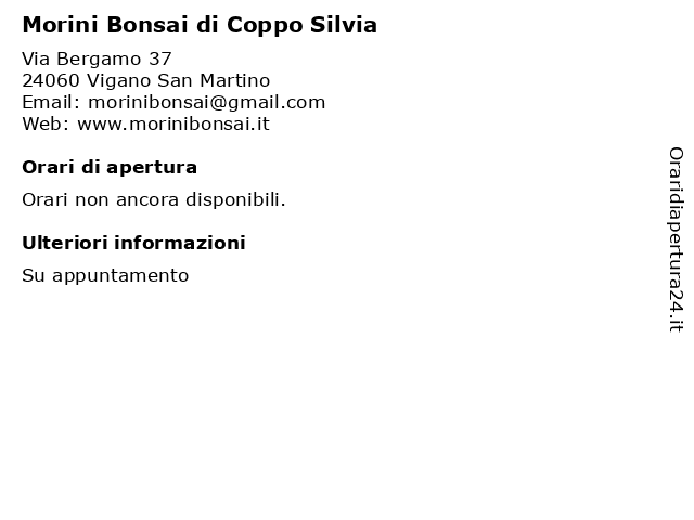 Morini Bonsai di Coppo Silvia a Vigano San Martino: indirizzo e orari di apertura