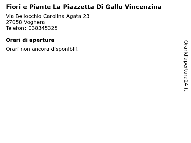 Fiori e Piante La Piazzetta Di Gallo Vincenzina a Voghera: indirizzo e orari di apertura